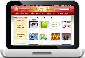 E-Commerce Web Design & Development Services in Pakistan