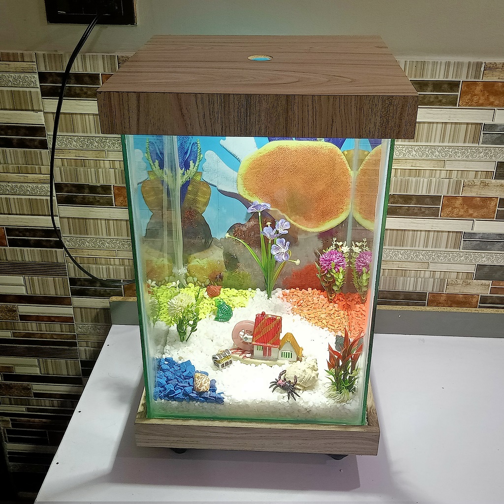 Beautiful Table Aquarium - Type 1 (1ft x 1ft x 1.5ft)