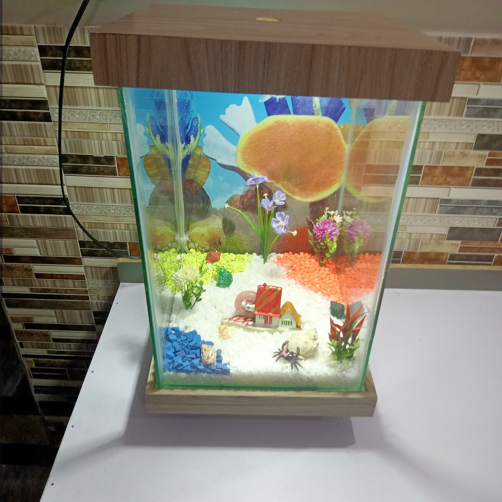 Beautiful Table Aquarium - Type 1 (1ft x 1ft x 1.5ft)