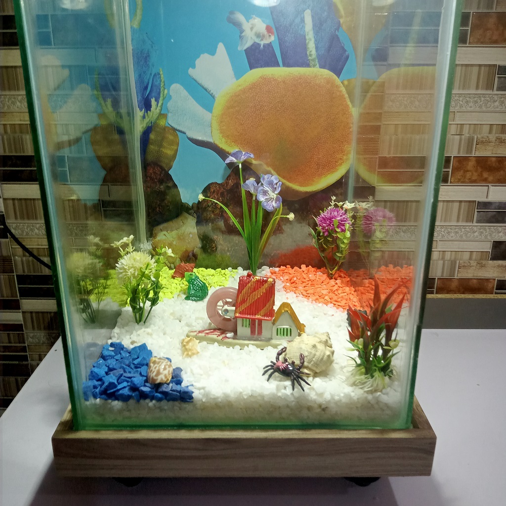 Beautiful Table Aquarium - Type 1 (1ft x 1ft x 1.5ft)