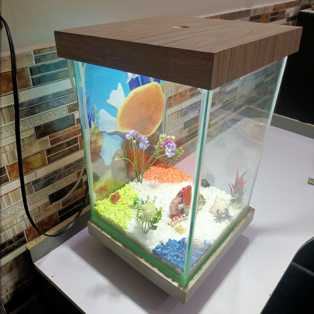 Beautiful Table Aquarium - Type 1 (1ft x 1ft x 1.5ft)