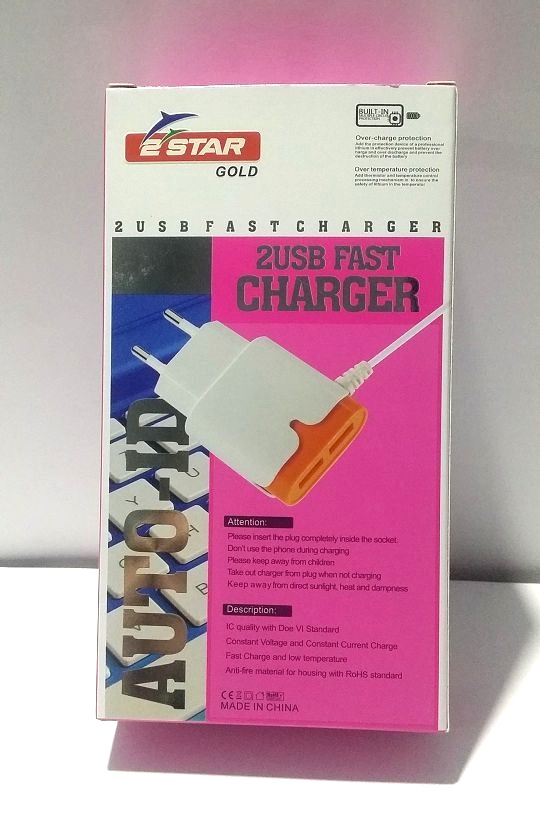 Two USB 2.1A Mobile Phone Charger - Style B