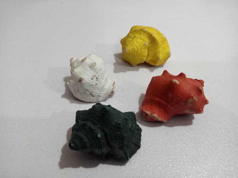 Beautiful Colored Shells for Aquariums - 8 Pieces