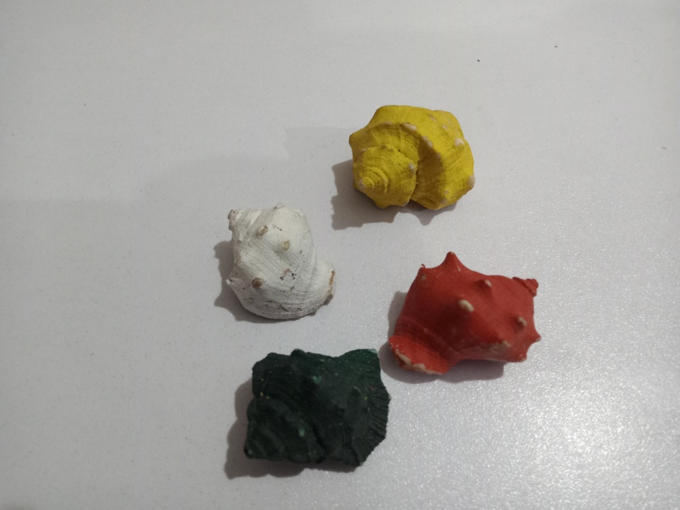 Beautiful Colored Shells for Aquariums - 8 Pieces