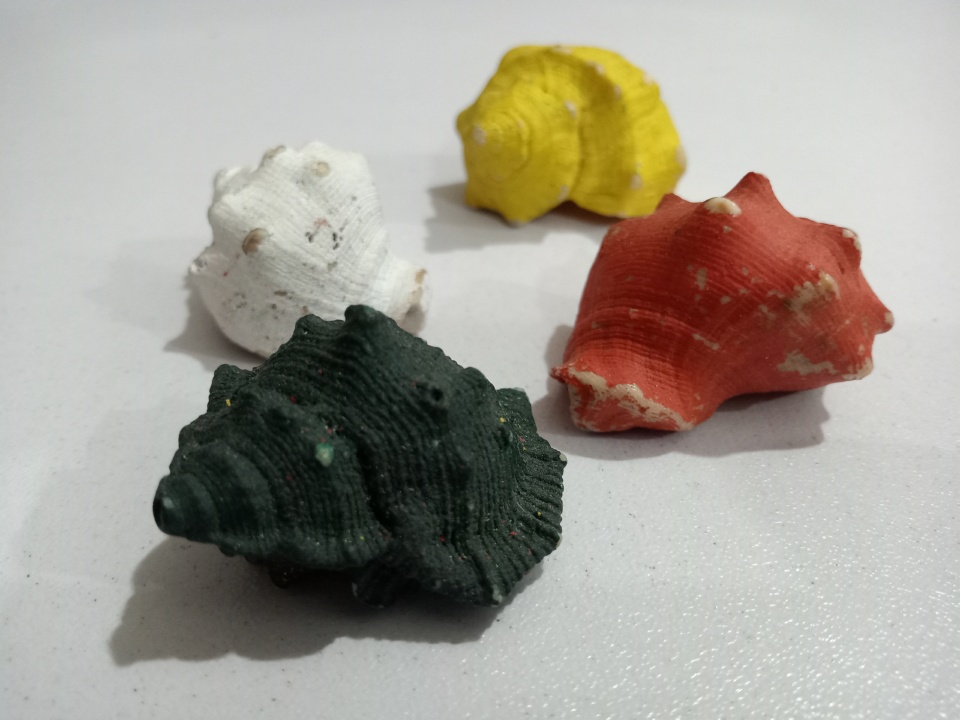 Beautiful Colored Shells for Aquariums - 8 Pieces